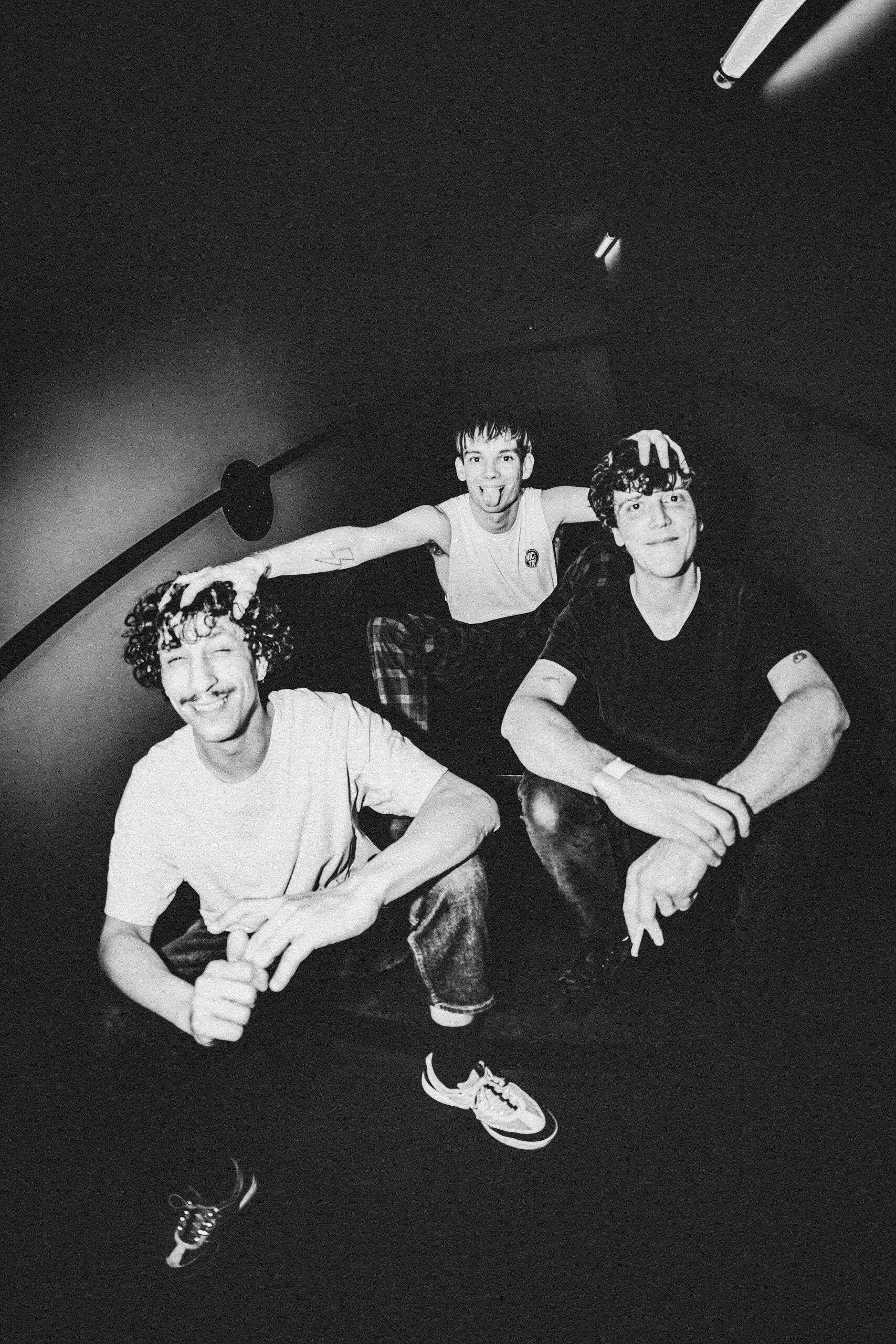 Sanguine - Vipères Sucrées Salées