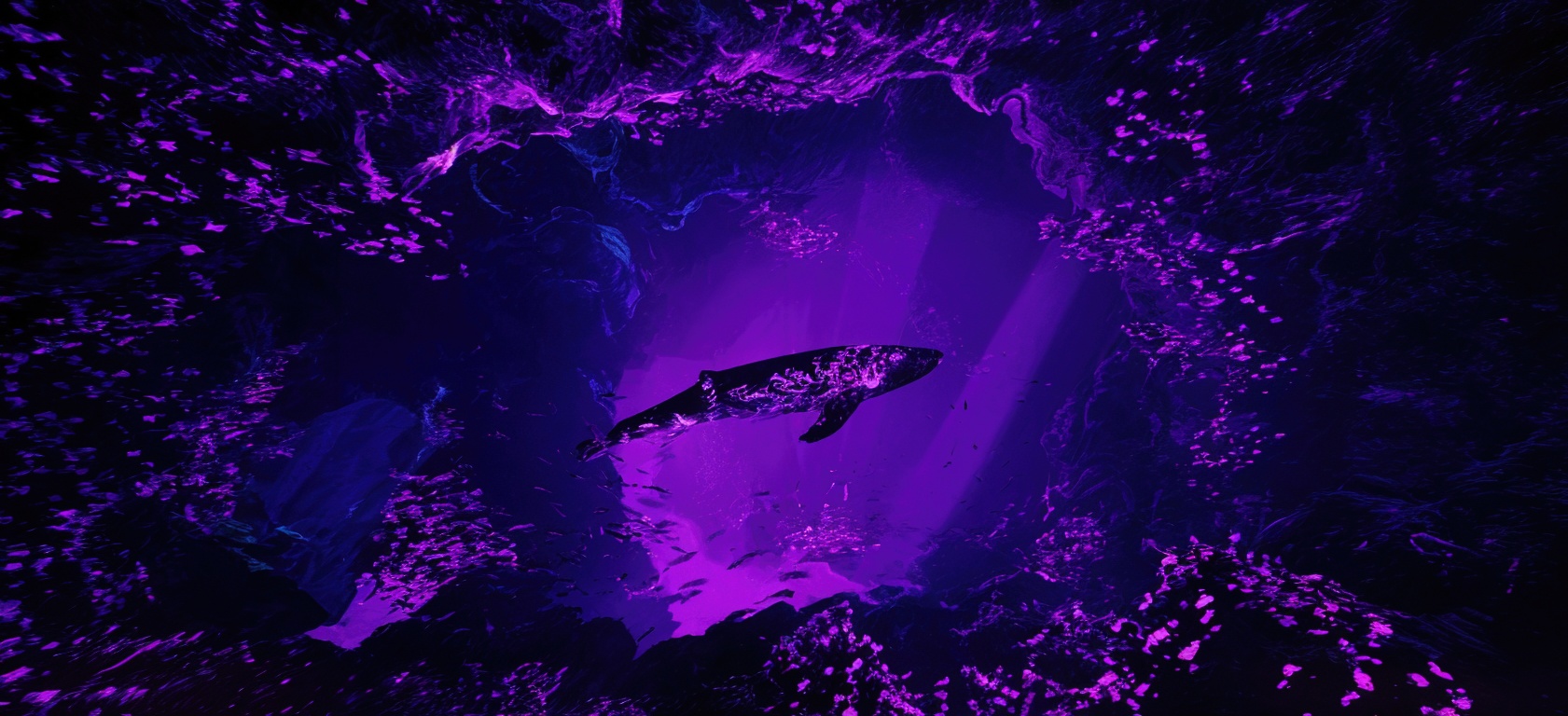 DeLaurentis Immersive Exposition