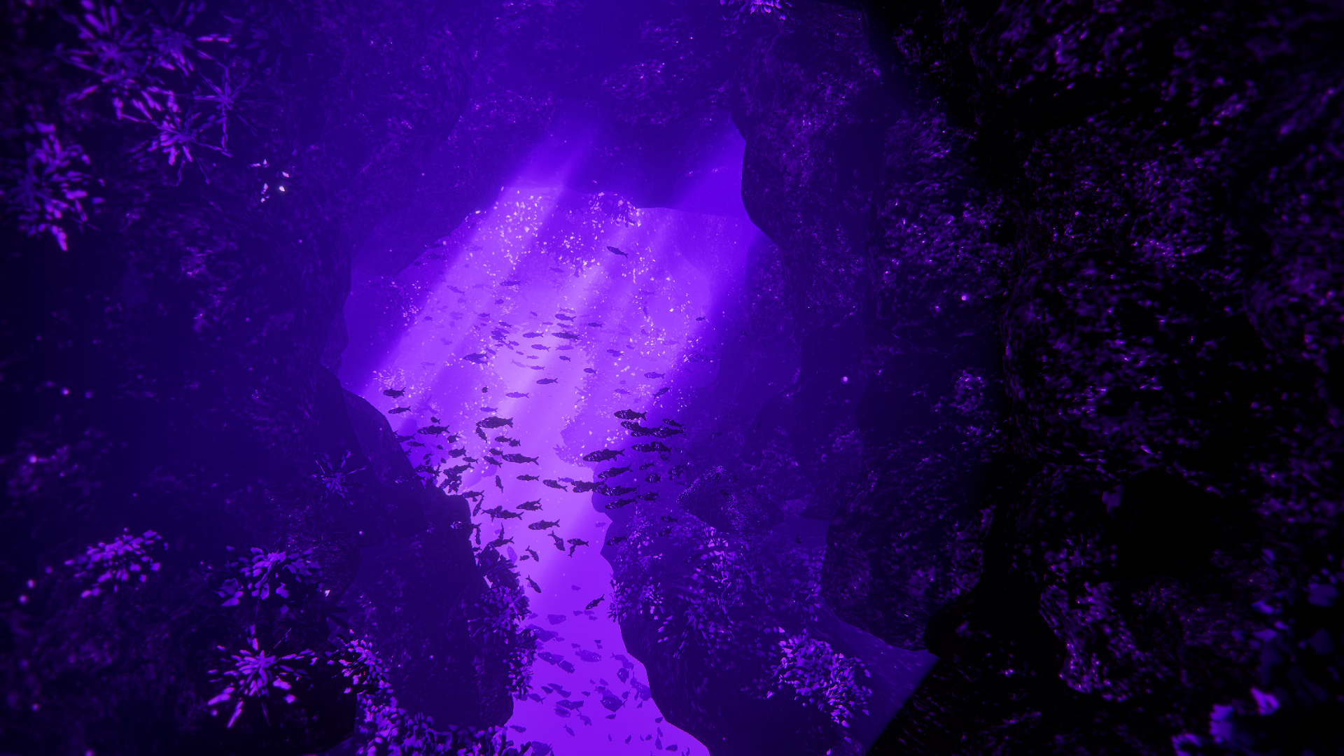 DeLaurentis Immersive Exposition